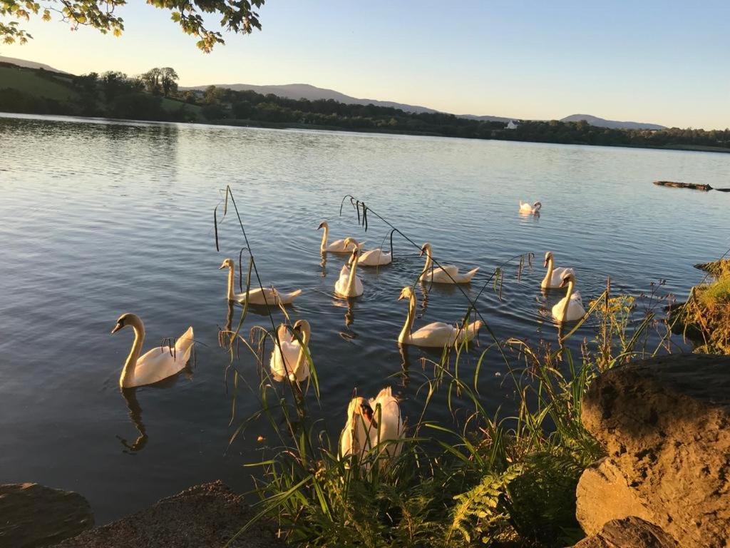 Lakeside Lookout Bantry Корк Экстерьер фото