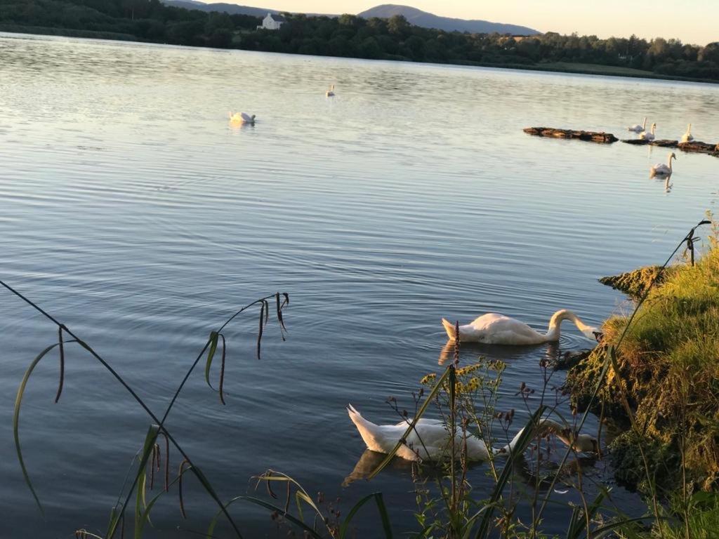 Lakeside Lookout Bantry Корк Экстерьер фото